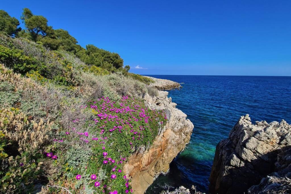 Casalionelantibes Appartement de 70m2 avec jardins et parking Extérieur photo